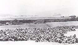Marines del 6.º Regimiento tras la Batalla de Belleau Wood