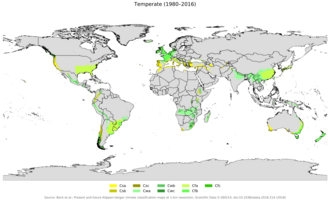 Mapa de distribución mundial de los climas templados (C) según Köppen