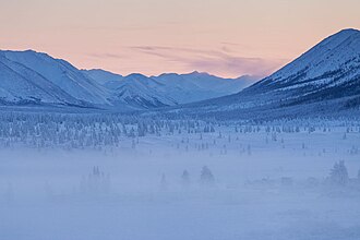 Bosque de taiga en la región de Oimiakón, Siberia