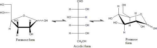 Esquema de conversión entre las estructuras de furanosa, cadena acíclica y piranosa de la D-glucosa