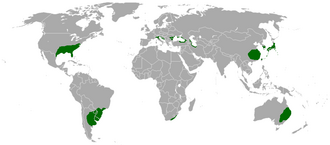 Mapa de distribución global del clima subtropical húmedo