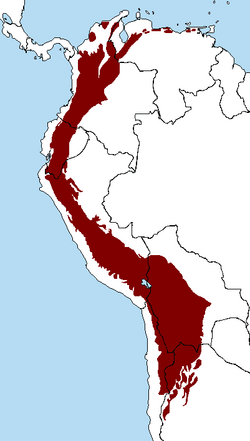 Mapa de distribución geográfica de los Andes tropicales en Sudamérica.