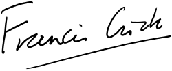 Esquema representativo de cadenas moleculares
