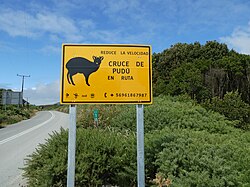 Señal de tránsito de precaución por cruce de pudúes