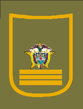 Insignia de Intendente de la Policía Nacional de Colombia