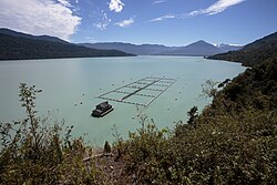 Centro de cultivo de salmón en el canal Hornopirén