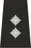 Epaulette de inspector