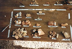 Tipología de terracota