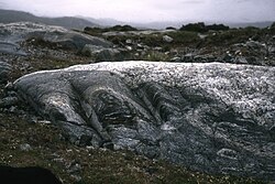 Gneis lewisiano plegado, Harris.