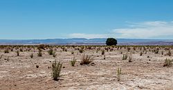 Paisaje árido del Desierto de Atacama