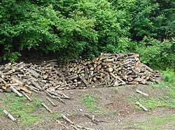 Troncos de madera apilados tras la tala