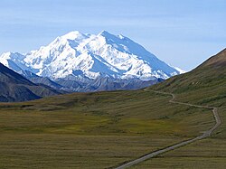 Denali visto desde la llanura
