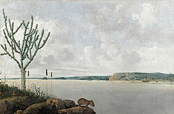 Pintura histórica de Frans Post