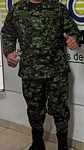 Uniforme Camaleón del Ejército