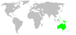 Distribución originaria de los eucaliptos y su presencia global