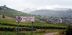 Viñedos de la Haute Côte des Nuits