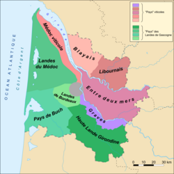 Mapa e información general sobre el viñedo de Burdeos