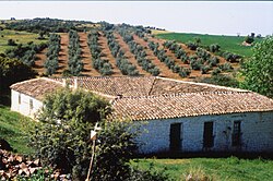 Finca típica en Sierra Morena