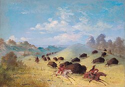Comanches cazando bisontes a caballo por George Catlin