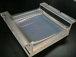 Gel de agarosa