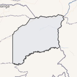 Mapa político y geográfico del departamento de Vichada en Colombia