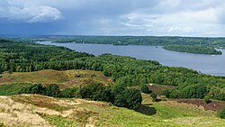 Paisaje de bosque y lago en Jutlandia