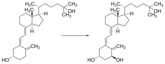 Proceso de hidroxilación renal que genera el calcitriol activo.