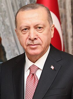 Fotografía institucional de Recep Tayyip Erdoğan