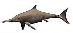 Ilustración del reptil fósil Ichthyosaurus communis