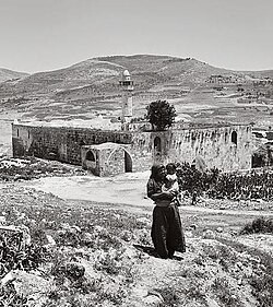 Fotografía antigua de la mezquita Nabi Yahya en Sebastia, Palestina.