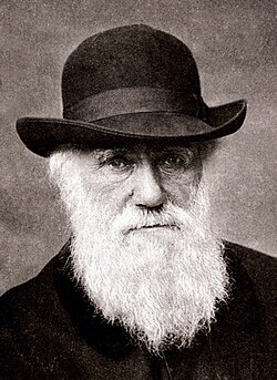 Ilustración histórica relacionada con el debate sobre el origen de las especies y la resistencia a las ideas de Darwin.