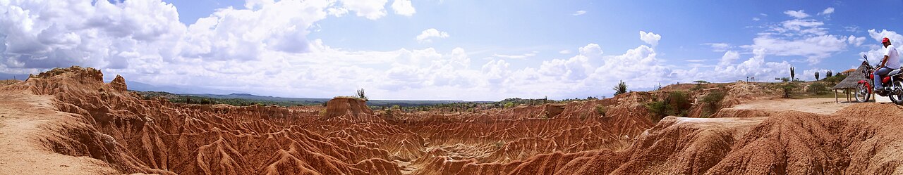 Panorámica del desierto con vegetación adaptada