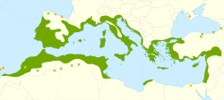 Distribución potencial del olivo en la cuenca del Mediterráneo
