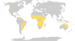 Mapa de distribución global de las sabanas