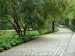Pavimento de adoquín en la Quinta de los Molinos de Madrid.