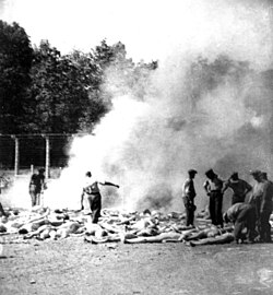 Prisioneros en campos de concentración nazis durante la Segunda Guerra Mundial.