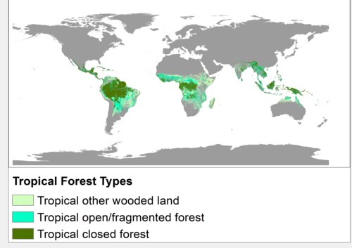 Mapa de cobertura forestal tropical