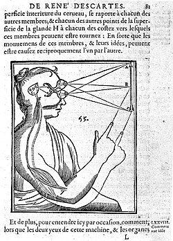 Diagrama del funcionamiento de la visión binocular y la glándula pineal en el Tratado del hombre.