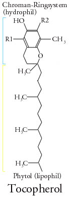 Estructura básica del d-tocoferol