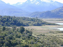 Valle Yendegaia
