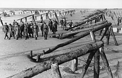 Erwin Rommel supervisando el Muro Atlántico