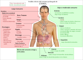 Efectos biológicos del consumo de alcohol en el organismo humano