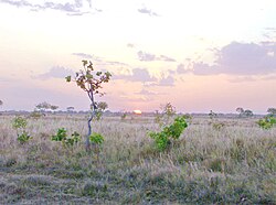 Los Llanos en Venezuela