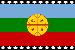 Bandera mapuche