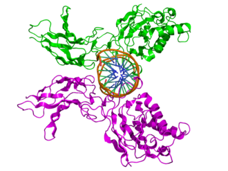 Estructura cuaternaria de una proteína