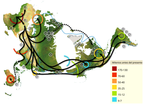 Mapamundi de las migraciones de Homo sapiens basado en ADN mitocondrial