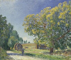 Claro de un bosque de Alfred Sisley