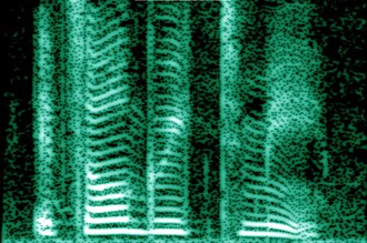Espectrografía de la voz humana