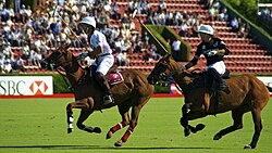 Campeonato Argentino Abierto de Polo, en 2010.