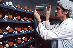 Cultivo celular utilizado en laboratorios para el desarrollo de la investigación científica y médica.